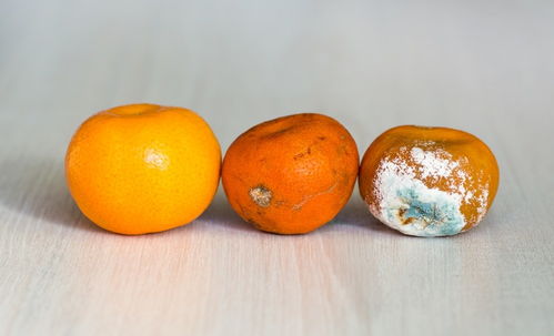 发霉切掉还能吃吗 孩子吃发霉的坚果差点酿成大祸