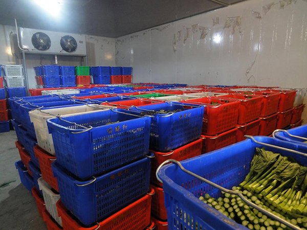 水果保鲜冷库（0°C）的实用指南