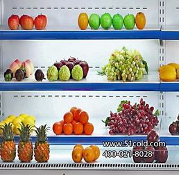 上海雪瑞高效节能冷柜 超市与便利店水果保鲜的专业之选